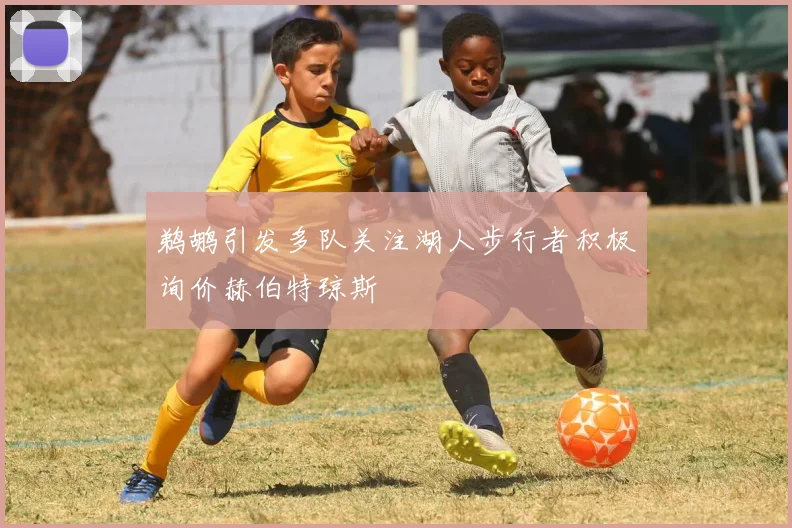 鹈鹕引发多队关注湖人步行者积极询价赫伯特琼斯